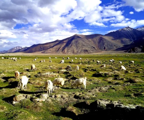 Ladakh with dark sky reserve